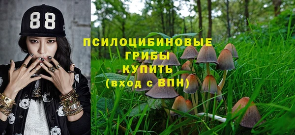 кокаин премиум Гусев